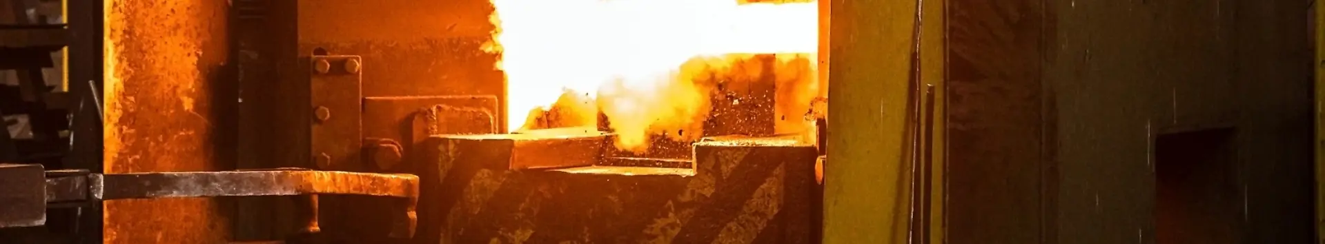 Stainless Steel Forgings