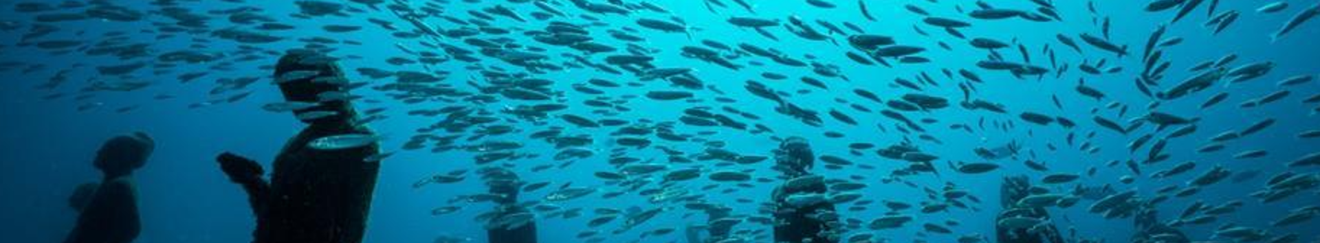 stainless steel under water art sculptor enviroment nationwide stainless stainless steel under water art sculptor enviroment nationwide stainless