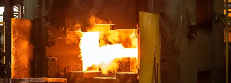 Stainless Steel Forging